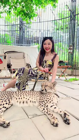 #สวนสัตว์tiktok 