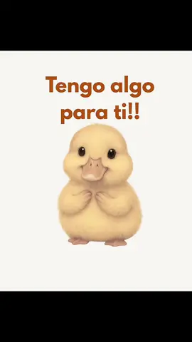 #sonrianquelavidaesbella #tiktoenespañol #followme #chavaruca #tiktoklover 🤗😱🤔💪👍👏🫶👌😉❤️🙏🥺🇺🇸🇲🇽😳🙄✌️😞😍😘🤭😅🤣😂😜🙊🙈😬🤗😉✌️🙏🫶👏👍