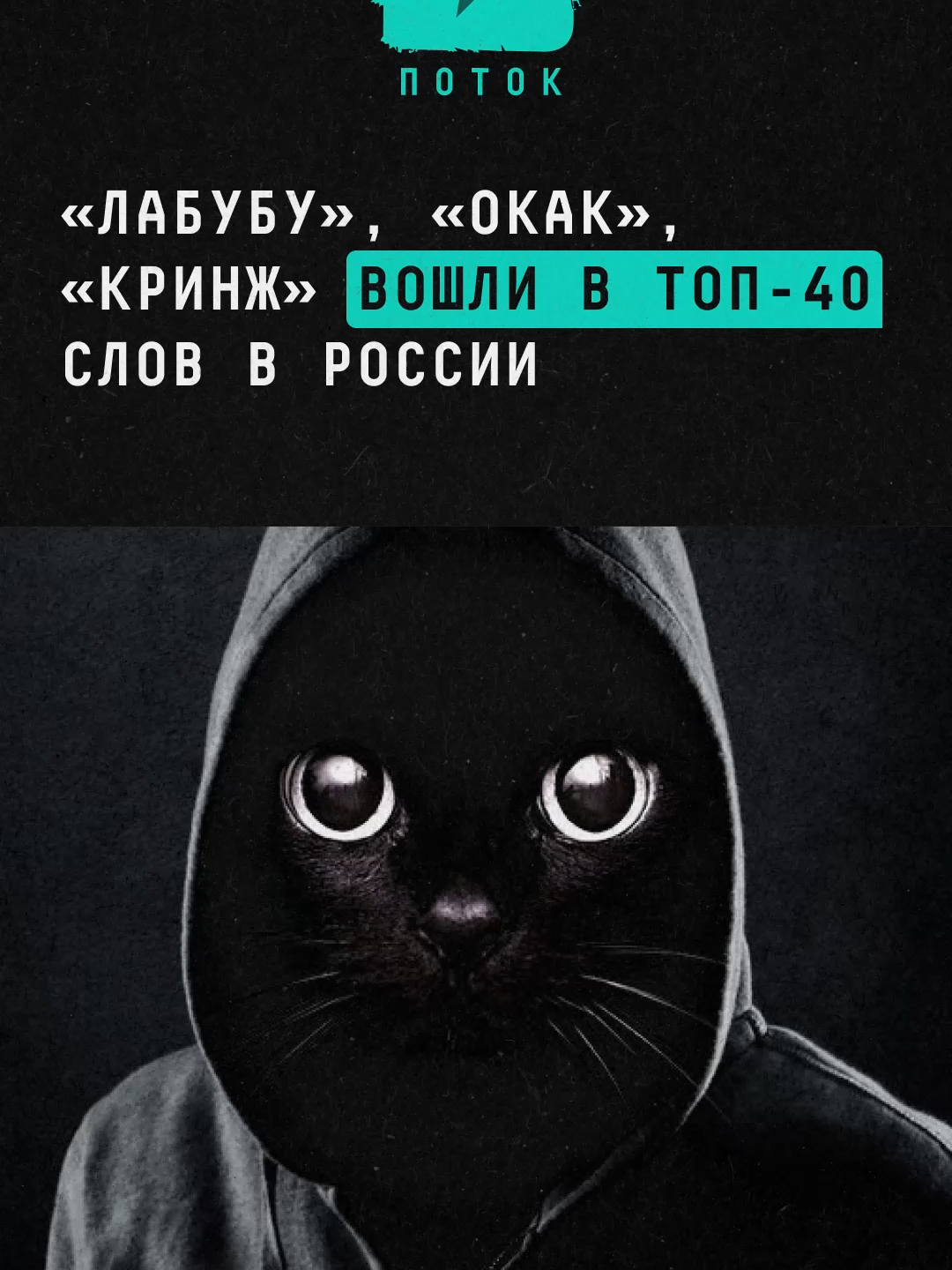 «Лабубу», «окак», «кринж» вошли в топ-40 слов в России #новости #поток #лабубу #окак #кринж #россия