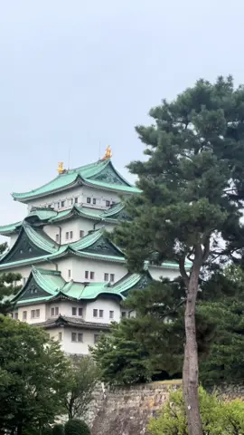 #nagoyacastle #nagoya #japan #castle 