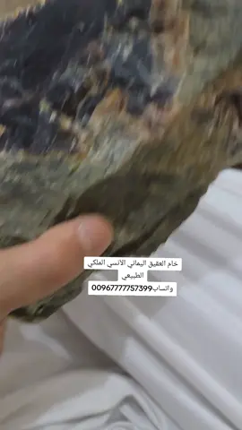 #عقيق_يماني_أصلي #عقيق_يماني_آنسي_جمله #العقيق_اليماني_الكرزي_الطبيعي #عقيق_يماني_آنسي_سباعي_كرزي_زعفراني #ان_الله_وملائكته_يصلون_على_النبي 