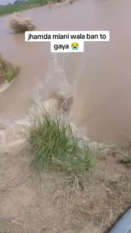 #tiktok #trending #video #jhanda jhanda miani wlaa ban tot gaya #unfrezzmyaccount 