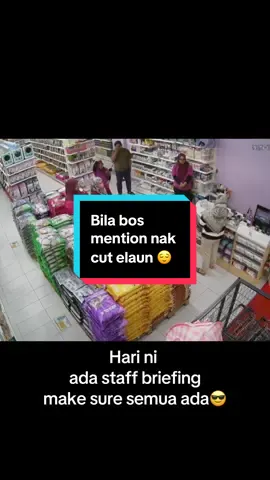Bila cakap nak cut elaun wet food , jajan terus kusut ye Thor 😆#kucing #petshopklang #catshometown #trending #fyppppppppppppppppppppppp 