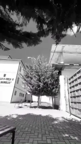 #viral_videos #goviral 