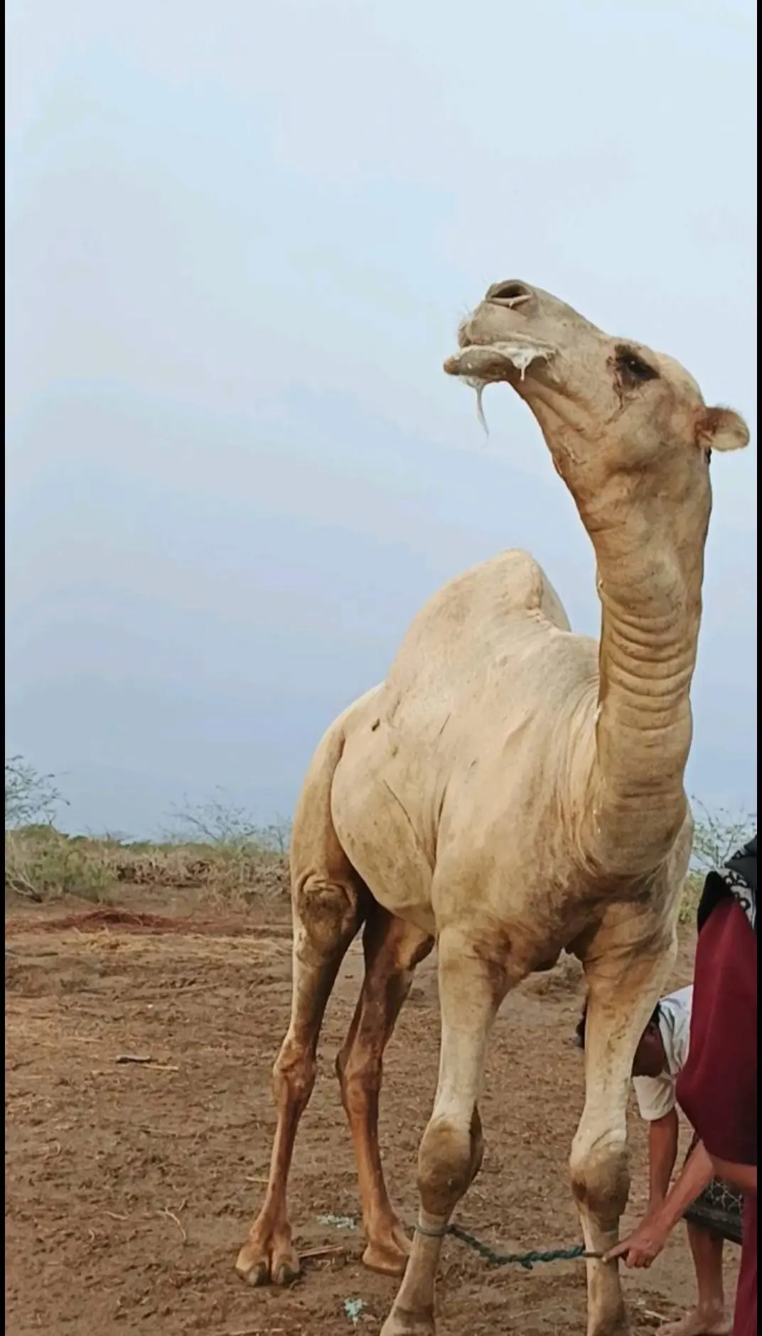 اذكر الله الله يبارك