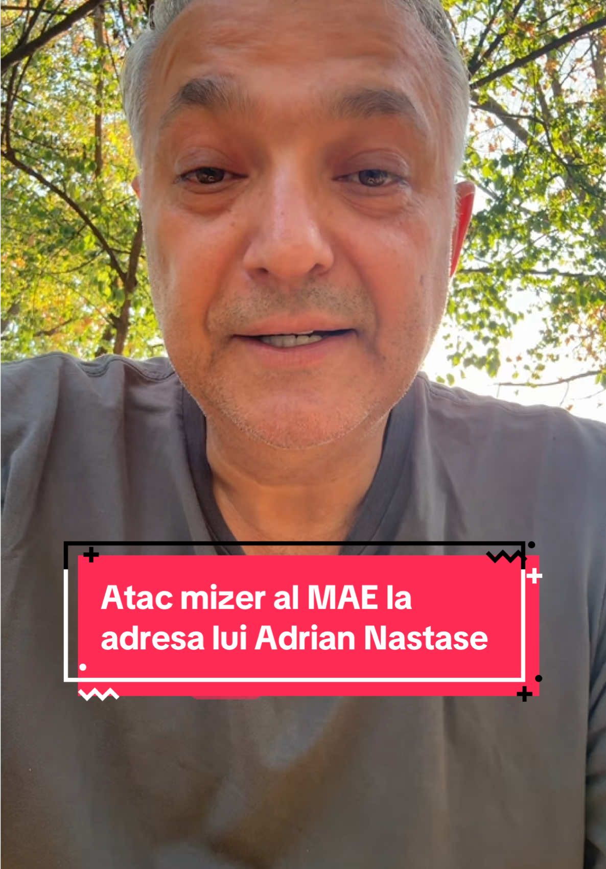 Comunicatul stupid al Oanei Țoiu împotriva lui Adrian Năstase. #cespuneandronic #fyp #chinese #mae #putin 