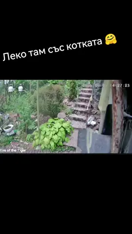 #FATALITY 
