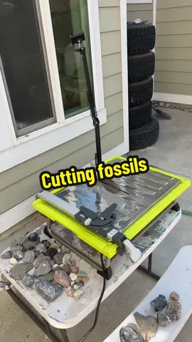 More rock cutting videos to come! Definitely going to get a new blade but excited to make some slabs. Very excited about the agates I cut yesterday as well #rockslabs #agatehunting #fossilhunting #rockhound #rocktumblingforbeginners 