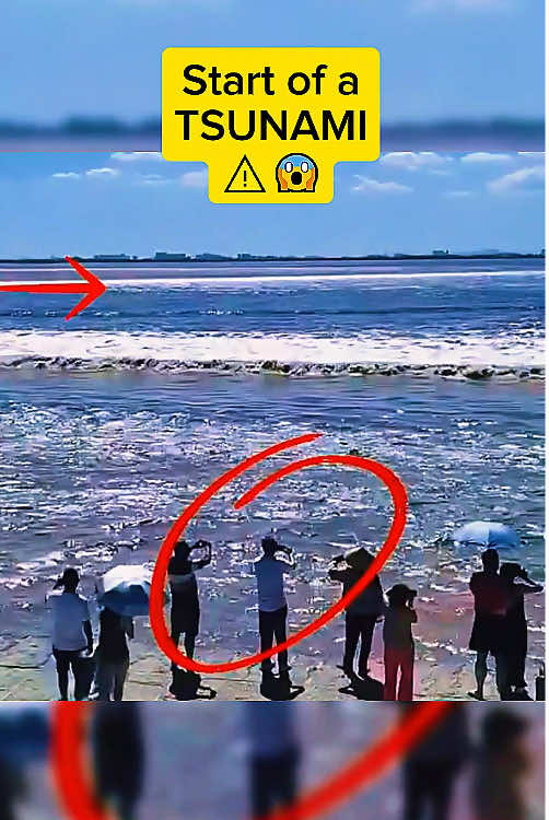 People just stand there and wait for it #scary #moment #tsunami #strike #usa🇺🇸 