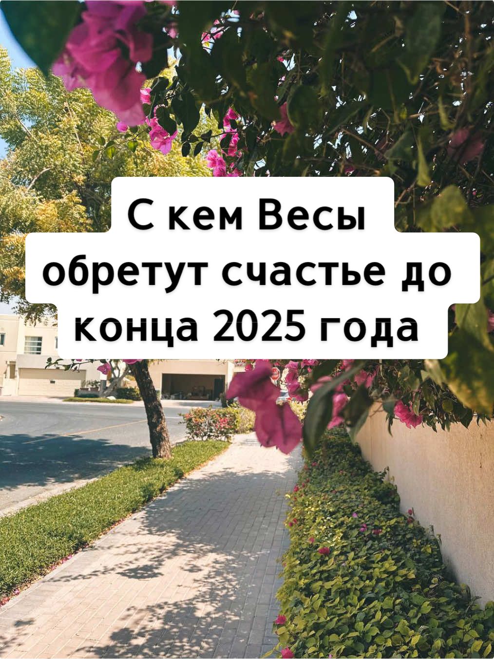 С кем Весы обретут счастье до конца 2025 года?  #Гороскоп #знакизодиака #астротикток #весы2025 #астропрогнозвесы 