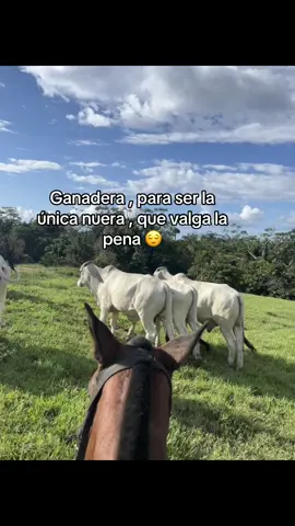 #videosagropecuaria 🤠❤️‍🔥