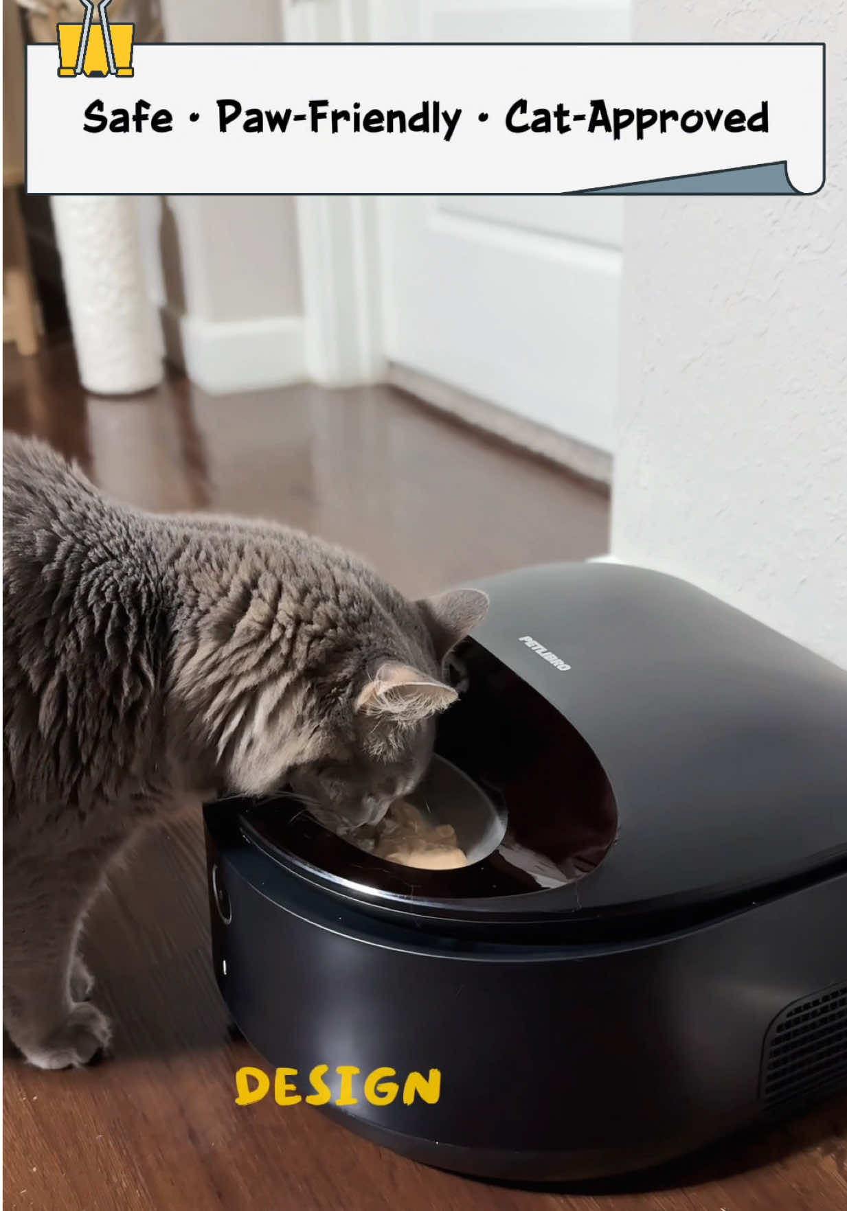 ✨ Keeping my cat’s wet food fresh used to be such a struggle… but not anymore! Thanks to the @Petlibro Polar Smart Wet Food Feeder, meals stay fresh for up to 3 days 🐾 My cat is happier, healthier, and I finally get peace of mind 💕 I truly love this brand for making life easier for pet parents like me! 👉 Get yours today with 18% OFF using code Ercan18 🔗 Link in bio: Petlibro Polar Smart Wet Food Feeder + Ercan18 Or shop directly here: https://bit.ly/47nhGip #Petlibro #PetFeeder #SmartPetCare #SmartPetFeeder #CatParents          