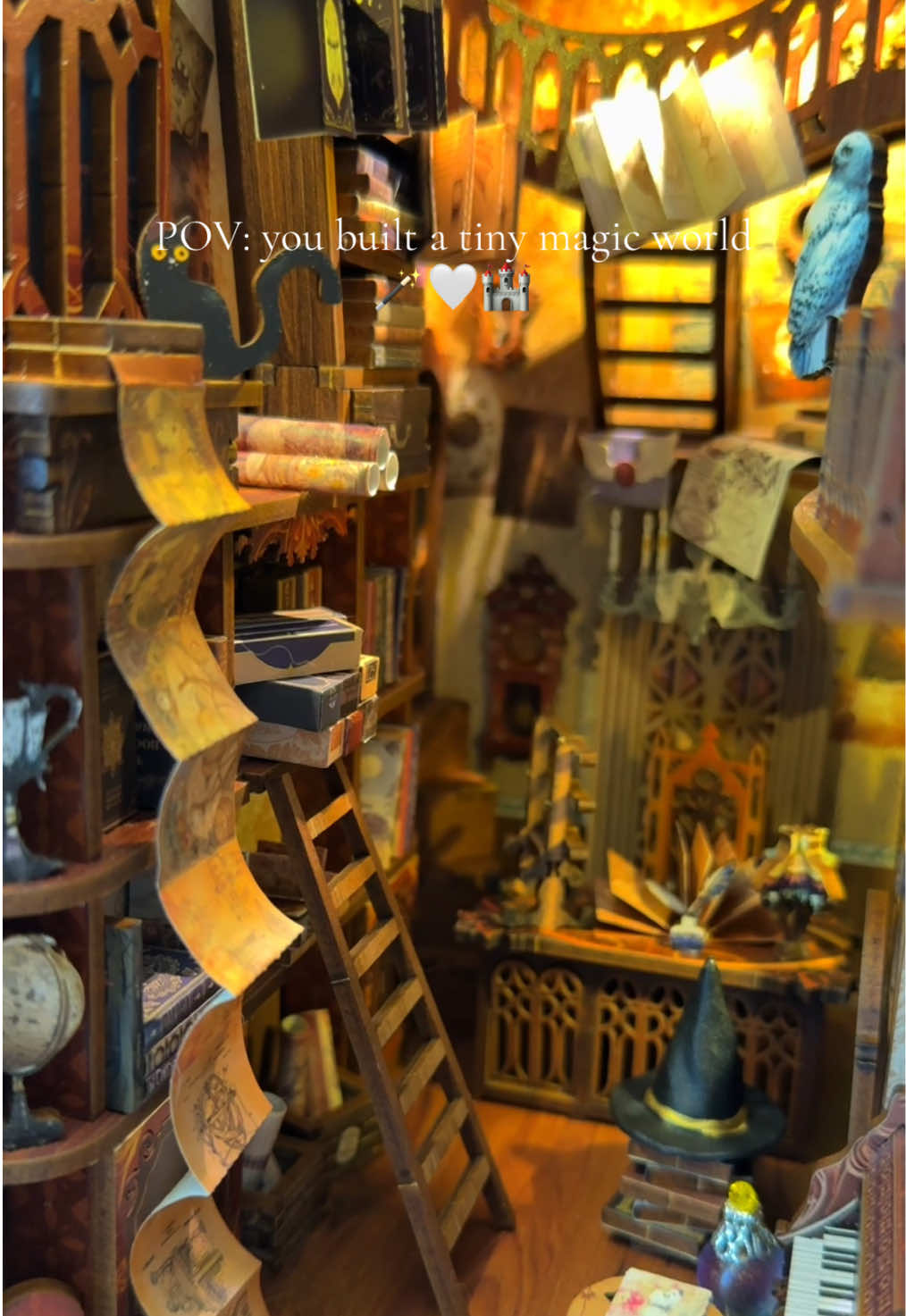 POV: You just built your own Magic World…🪄🤍🏰 #DIY #miniature #bookshelfdecor #potterhead #giftideas 