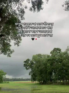 মানুষ মানুষকে না দেখে জীবনের চেয়েও বেশি ভালোবাসতে পারে কেন জানো কারণ ভালোবাসা সৃষ্টি হয় মন দেখে মুখ দেখে নয় 🖤💌