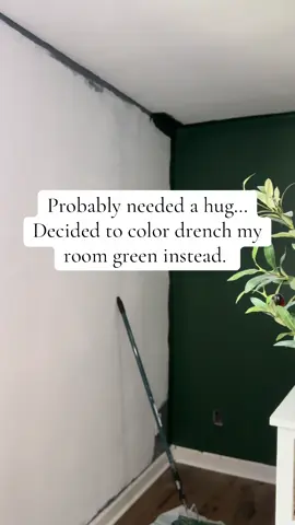 Color drenching my room was the best thing I’ve ever done! I’m loving this green! #colordrenching #painting #homeimprovement #greenpaint #homerenovation 