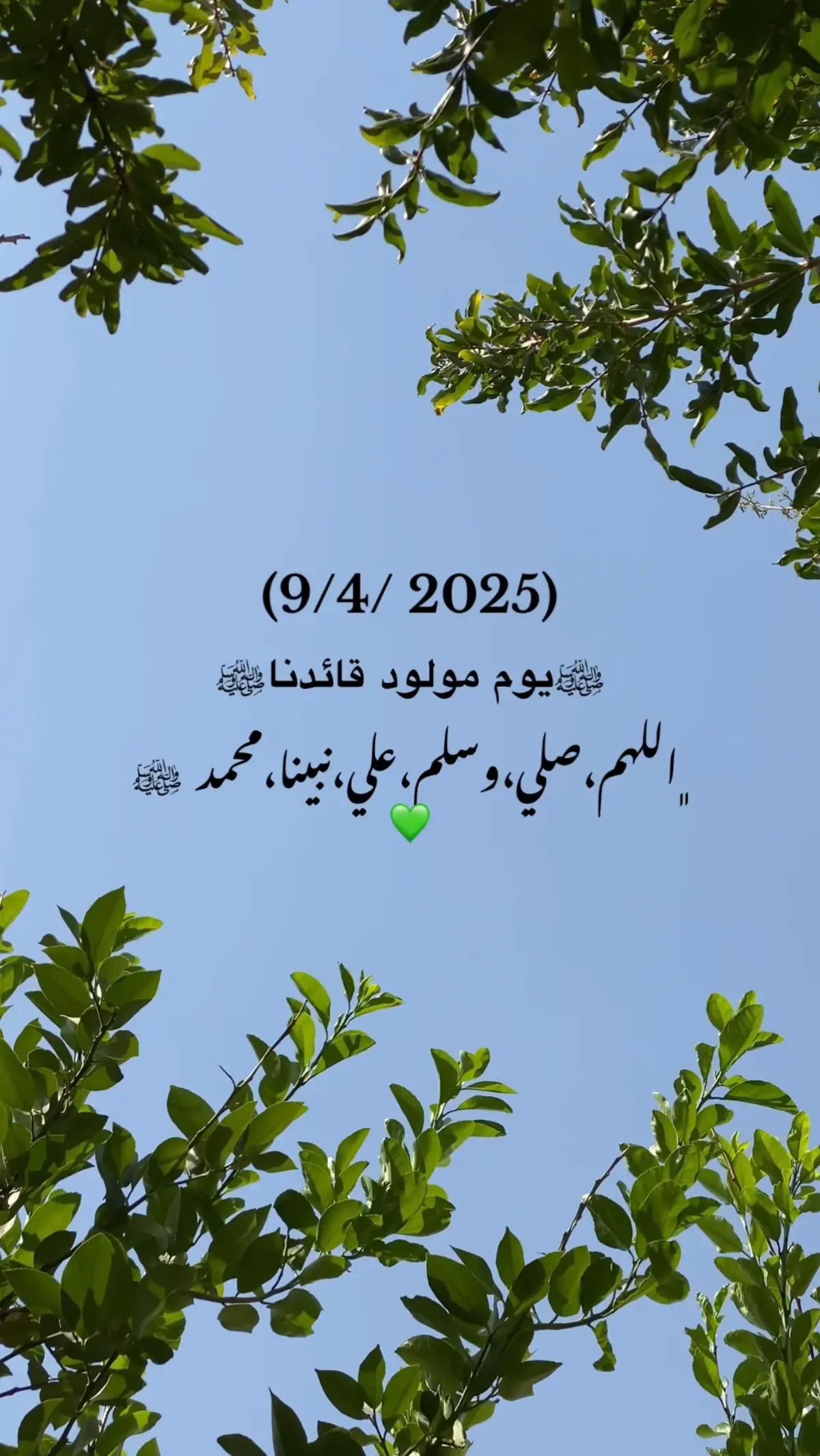 #المولد_النبوي_الشريف #صلوا_على_النبي #كل_عام_وانتم_بخير 