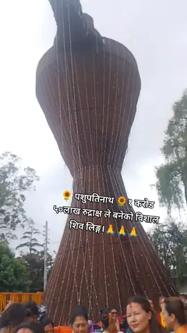 #creatorsearchinsights #videoviral #fyp #foryoupage #jayshambhu @pandeyji_233 @🎀 