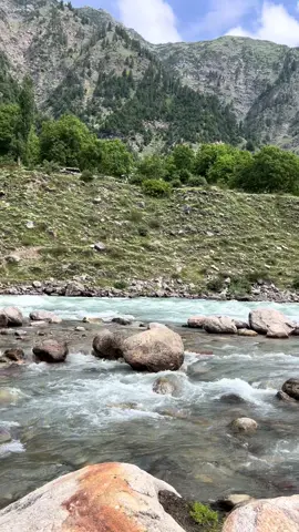 Go where you feel most alive🌷 #mountain #fyp #foryou #pakistan #beauty 