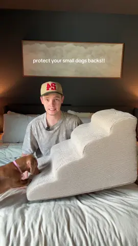 Let’s start protecting our small dogs backs with this stair ramp from @EHEYCIGA US #dogramp #smalldogs #ivdd #dachshundsoftiktok #fyp 