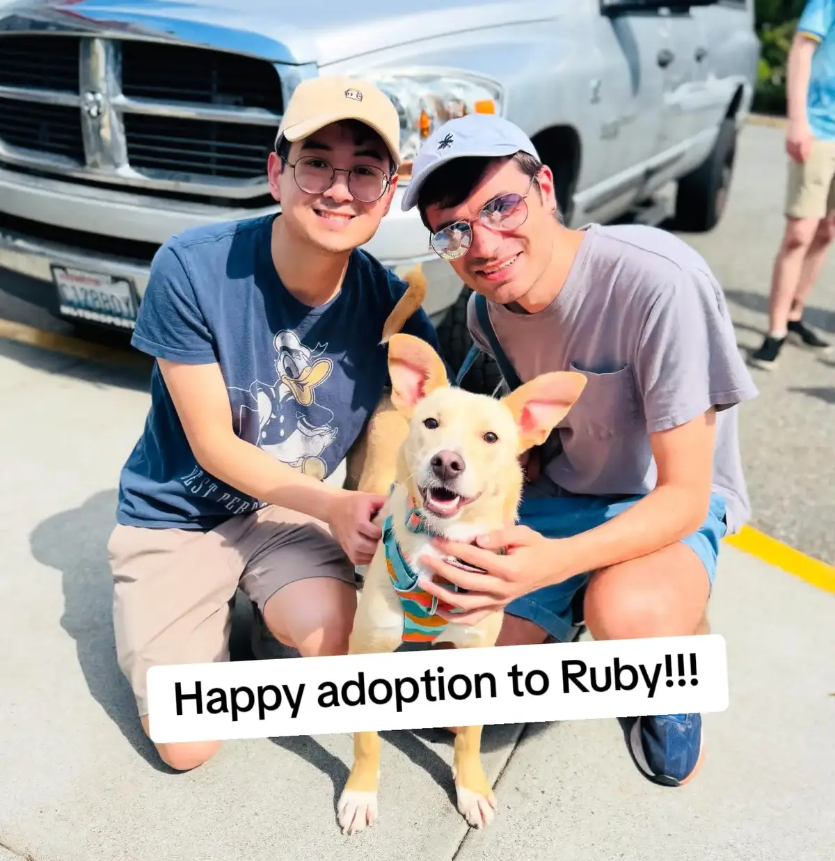 Happy adoption to Ruby!!!#fyp #foryou#vilar #govilar #foryoupage❤️❤️ 