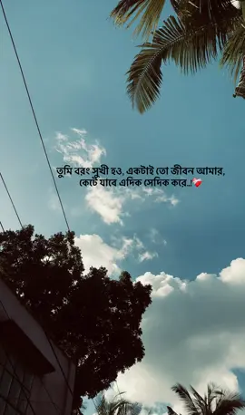 তুমি বরং সুখী হও, একটাই তো জীবন আমার, কেটে যাবে এদিক সেদিক করে!❤️‍🩹#foryoupage #fyp #tiktok #tranding #bangladesh🇧🇩 