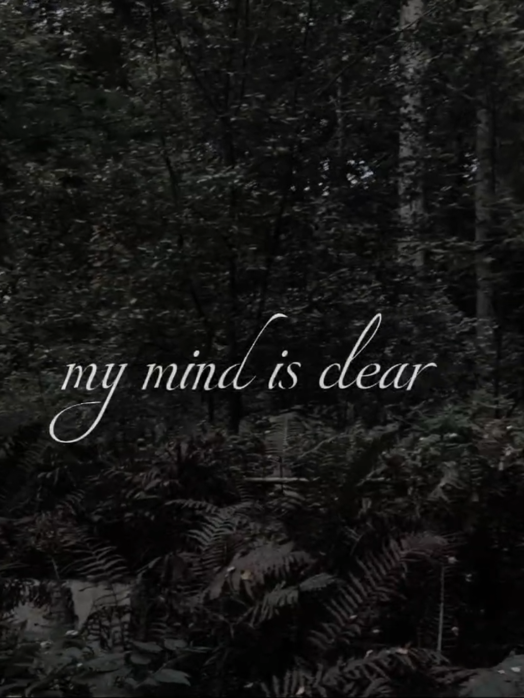 #psychonaut4 #dsbm #blackmetal #dsbmusic #metalmusic 