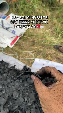 Arang baru mateng #investorarang#charcoal #batokkelapa #pabrikbriket #gudangarangbatokbandaaceh
