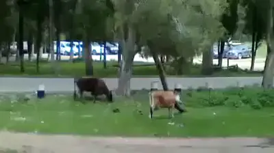 ذكرهم ونكد عليهم 🤣🤣