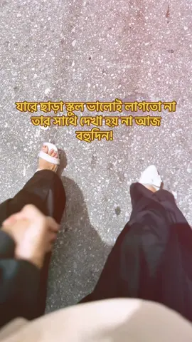 “যে মানুষটা ছাড়া স্কুল অসম্পূর্ণ লাগতো, আজ তার সাথেই আবার দেখা 💖✨”##SchoolFriendship##BestFriendVibes##OldDaysBack##SchoolMemories##BondingForever#BanglaFriendship@🤍Maiza _manhat🤍 