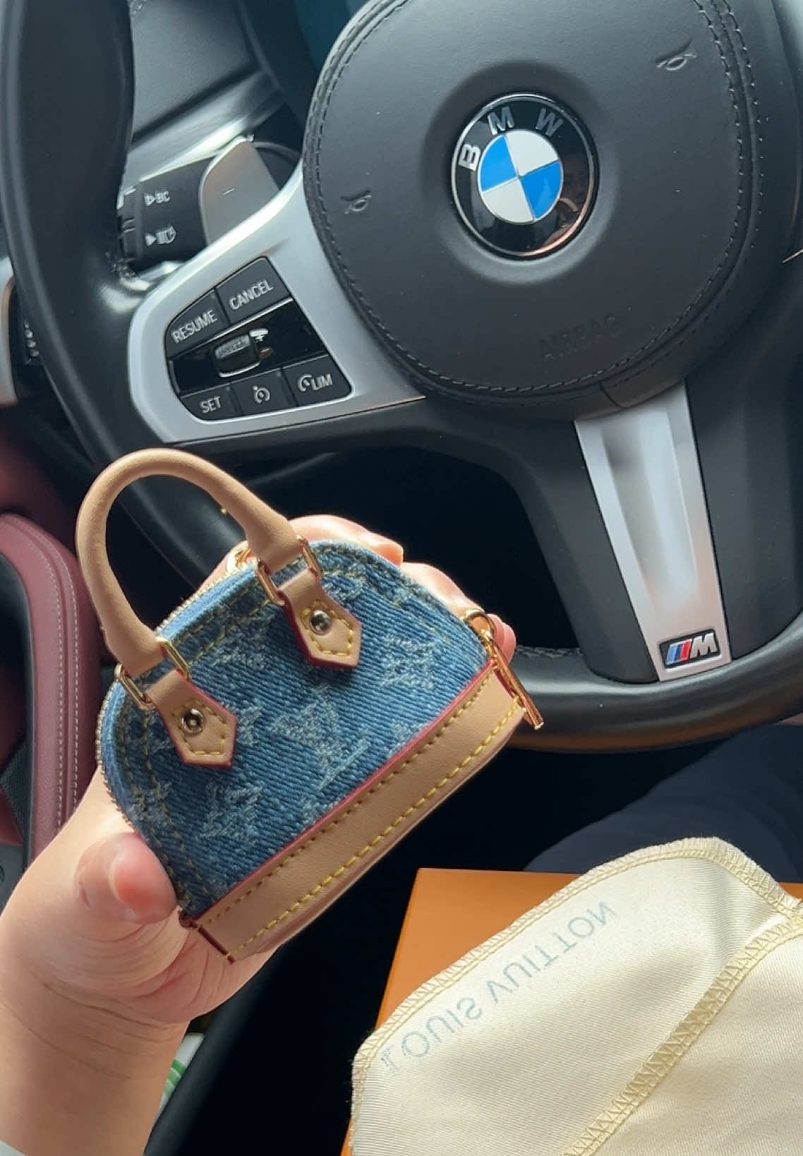 #cutebag #lv #louisvuitton #minibag #keychain 