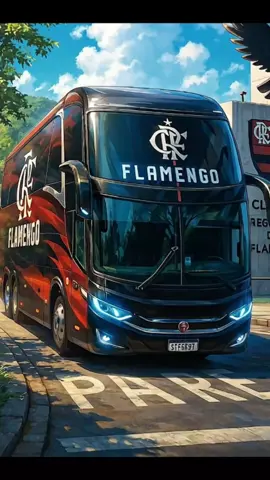 #flamengocampeão #dalepaencimamengao  esso aqui e flamengo porra 
