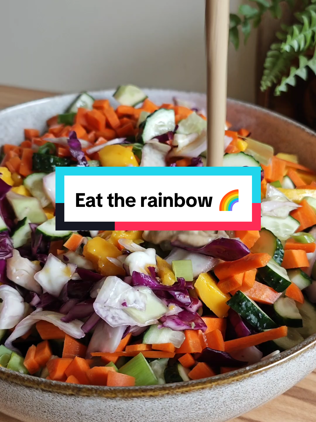 Bunter Salat Unser Darm liebt es bunt und dieser Salat ist eine echte Ballaststoffbombe 🌈 Zutaten: 1/2 Rotkohl 1/2 Weißkohl  1 Mango 1 Gurke 2 Frühlingszwiebeln  2 Karotten  1 Hand voll gesalzene Erdnüsse  Dressing: 6 EL Sojasoße  2 EL Essig 4 EL Hefeflocken 1 EL Ahornsirup  2 EL Tahin Knoblauch  Oder einfach nach Geschmack  Guten Appetit wünscht Chelli 🥰 #darmgesund #buntersalat #salatrezept #eattherainbow 