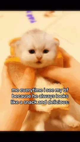 Send to them #cat #catsoftiktok #couple #boyfriend #ilovemybf #fyp #viral 