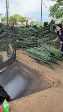 বাংলাদেশের সিজার কেন করতে হয় দেখুন। 