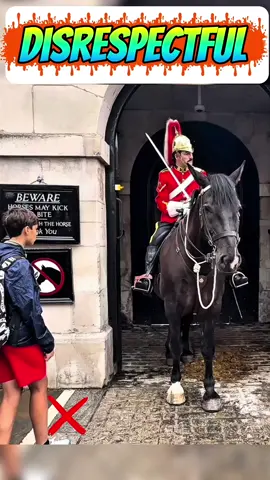 Disrespectful #kingshorse #kingsguards #kingsguard #royalfamily #horseguardsparade #fyp #viralvideos #military #royalguard #royalhorse 
