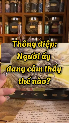 Thông điệp Người ấy đang cảm thấy thế nào ? Mối quan hệ ngắt kết nối #thongdiepvutru #thongdieptinhyeu #tarot #chiatay #silenttreatment 