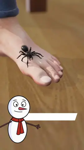 Arañas 🕷️🕸️ #arañas #curiosidades #entretenimiento #random #viral 