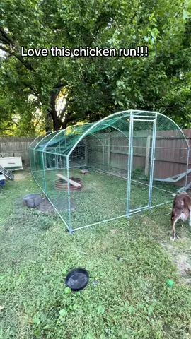 Absolutely love this chicken run!!! #chicken #vevor FREE SHIPPING! #chickencoop 