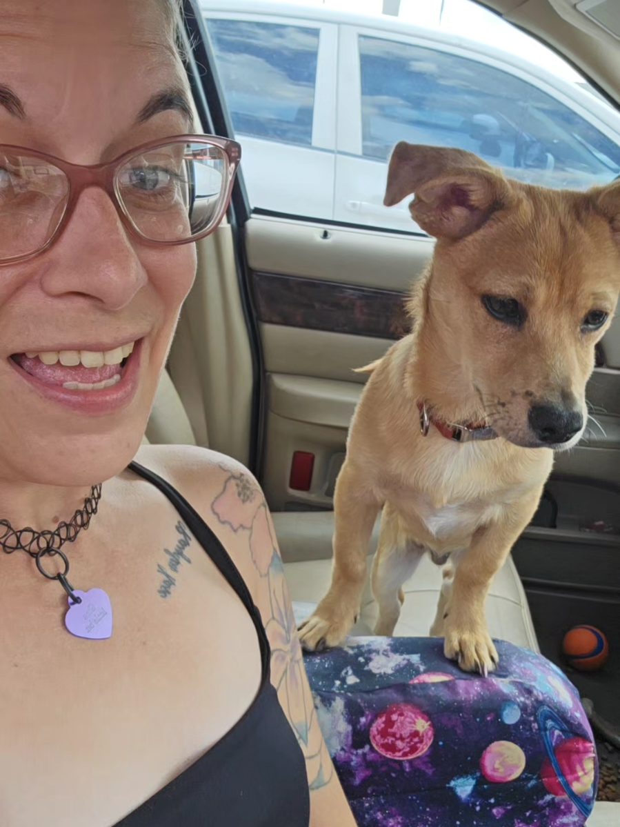 #baddog #bite #goodboy #copper #dogsoftiktok 