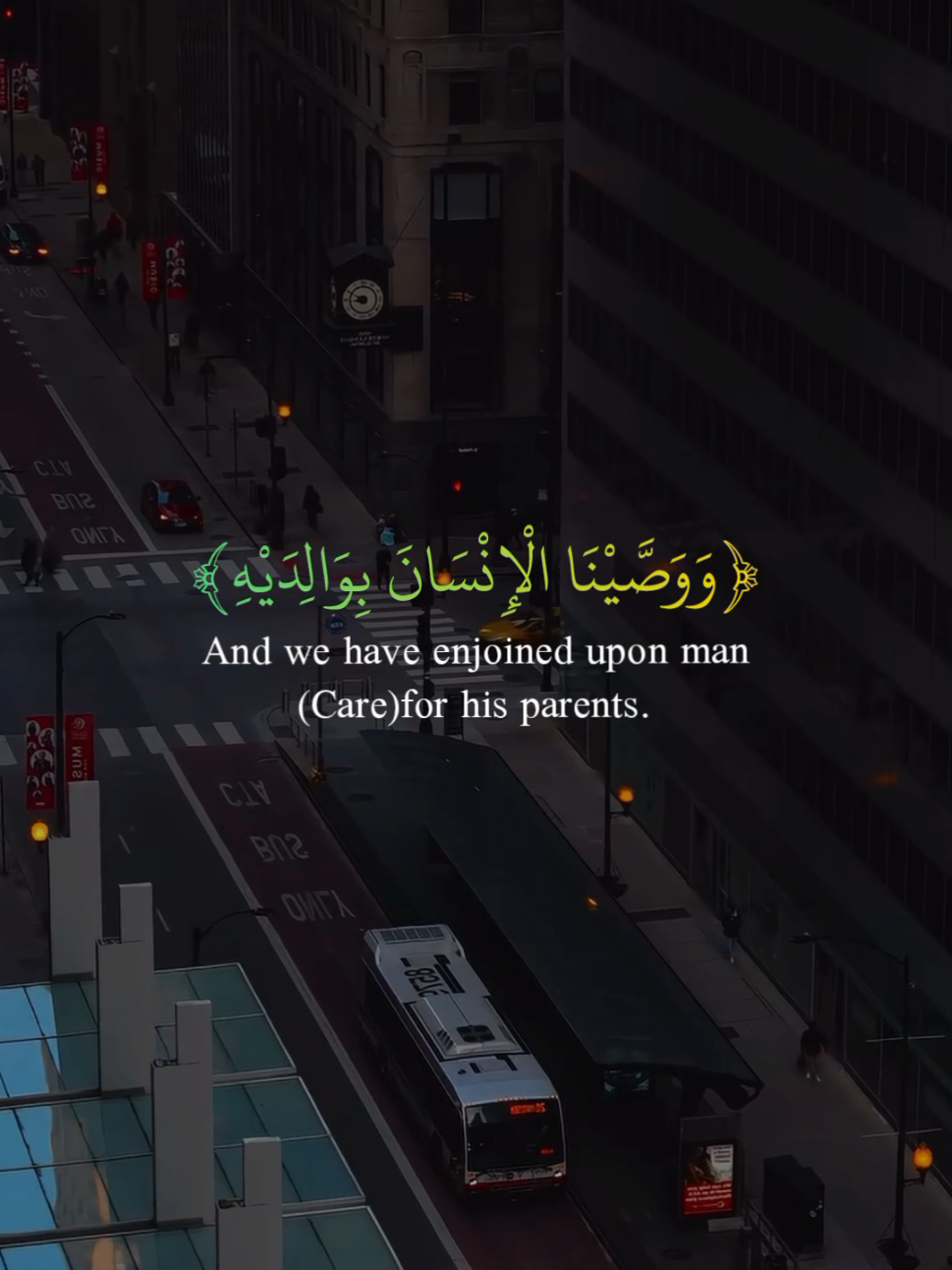 Surah Al-Luqman I Islam Sobhi  #quran #قران #recitation  #surahluqman #سورة_لقمان 