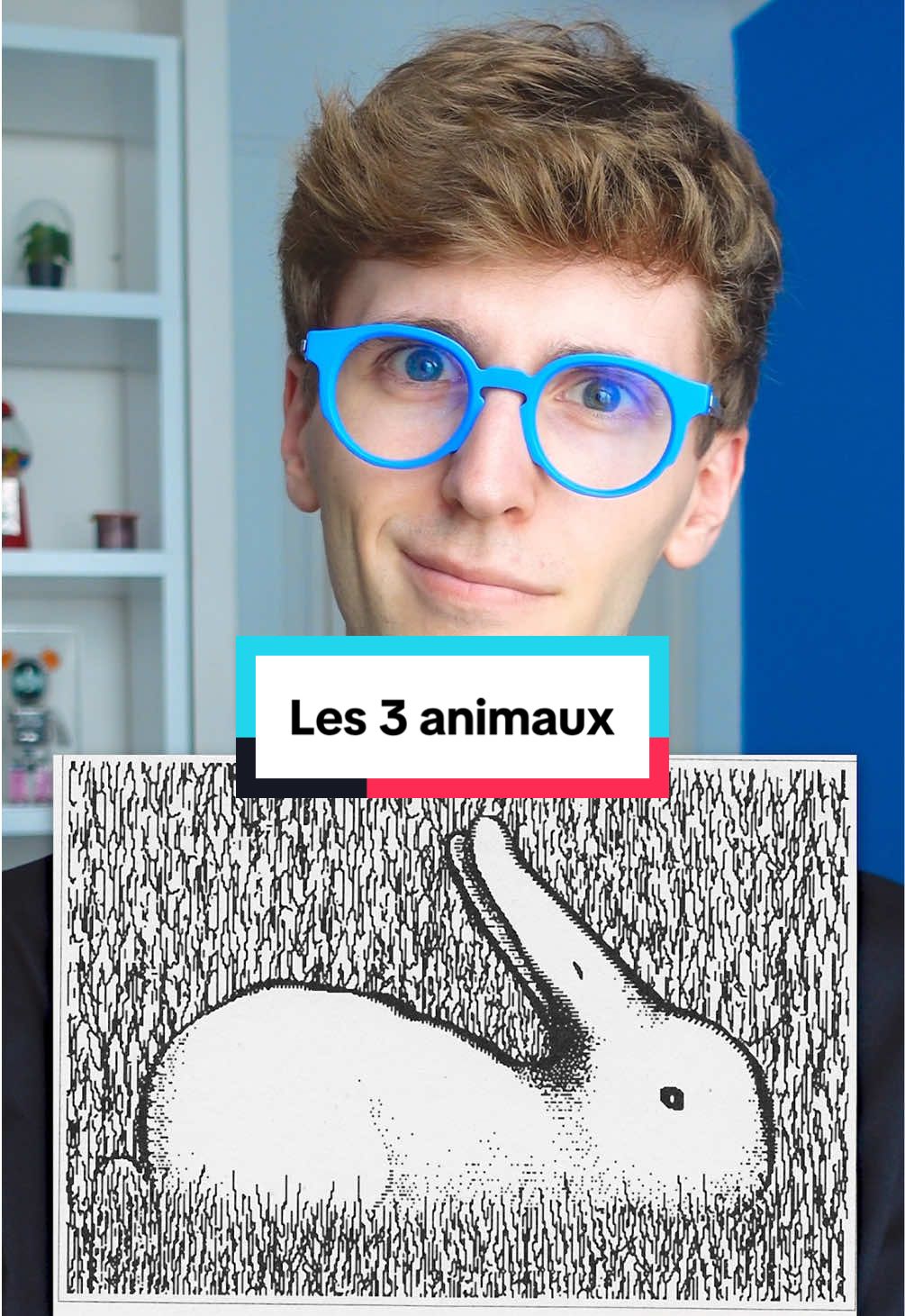 3 animaux sont cachés, tu ne trouveras pas le 3eme 🤣 Abonne toi pour + de magie :)