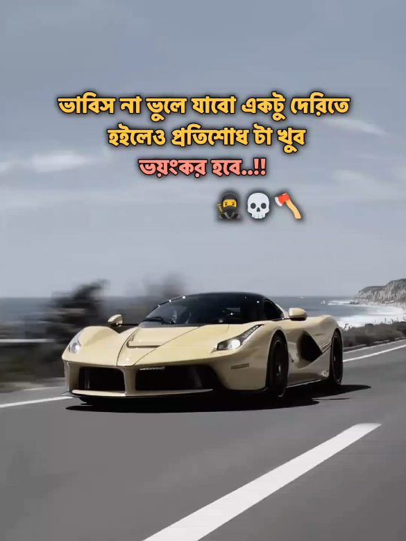 ধন্যবাদ..💀🫱🏻‍🫲🏽 ... #foryou #foryoupage #sigma #statusvideo #itsmearyan015 
