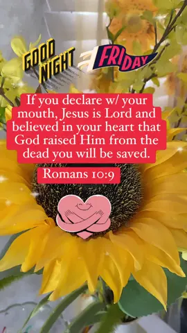 #contentcreator #wordsofwisdom #wordsofencouragement #bibleversedaily 