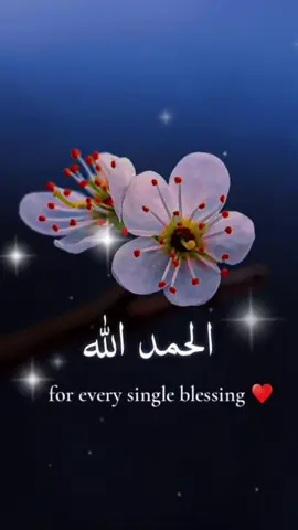 #foryoupage #Glorious #Quran#subahanallah #🖤tiktok☆♡🦋viral🖤tiktok 