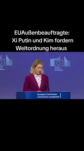Die EU-Außenbeauftragte Kaja Kallas hat die Zusammenkunft des chinesischen Staatschefs Xi Jinping mit dem russischen Präsidenten Putin und Nordkoreas Machthabers Kim Jong Un in Peking als 