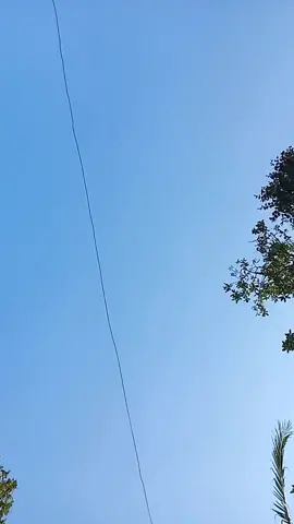 kata kata minuman kelapa muda campur seger sari bikin kocak orang sunda😄