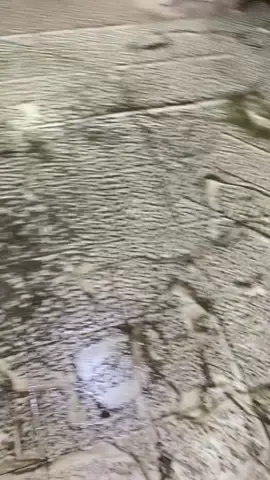 Kalo dah hujan dan terjadi lagii banjerr ,Bingung antara sedih sama ketawak😭@Ay2🦋 