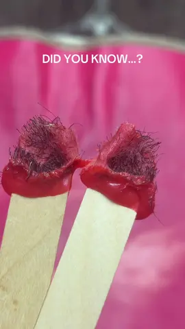 Ear pops using @Sexy Smooth Wax Cherry Desire hard wax. YES, you can get your ears and nostrils waxed! Enjoy being hair free for much longer and less irritated than using electric shavers.  #oddlysatisfying #satisfyingwax #nostrilwaxing 