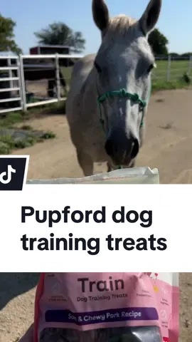 Pupford training treats are perfect for working on off leash recall while I’m out walking my horse. #DogTraining #dogtreats 