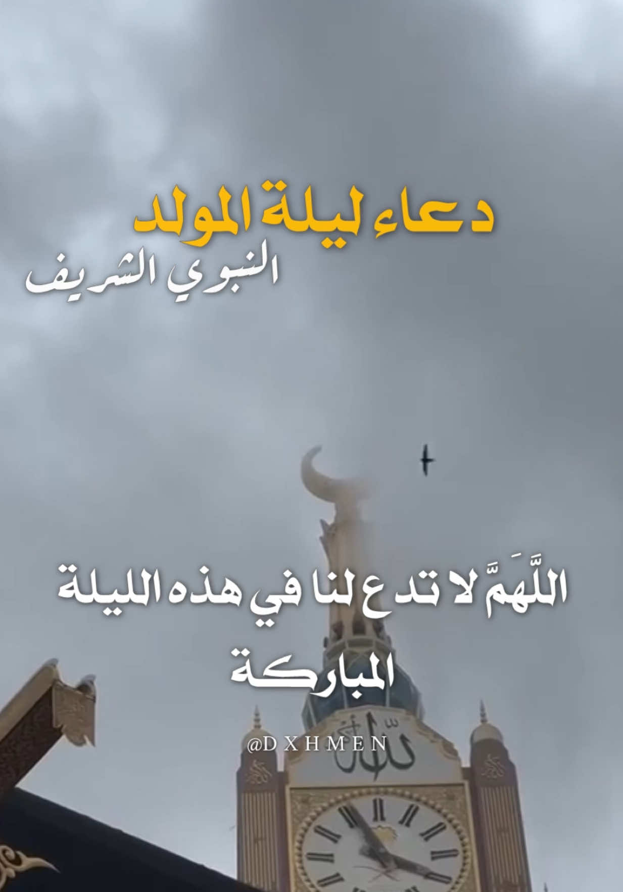دعاء المولد النبوي الشريف يارب 🤲  #المولد_النبوي_الشريف #اللهم_صلي_على_نبينا_محمد #اللهم_صل_وسلم_على_نبينا_محمد #اللهم_امين_يارب_العالمين #dxhmen 